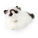 Chat en peluche ragdoll couché 35 cm ÉCOLOGIQUE