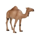 Az egypúpú tevém