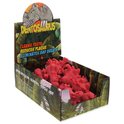Espositore Dentosaurus sapore prosciutto 10,5 cm 14 pz