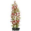 Dekoráció Tetra Plant Red Ludwigia L 30cm