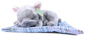 Caine de pluș Bulldog francez culcat 23 cm ECO-FRIENDLY