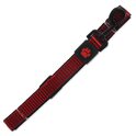 Leine Active Dog Strong L rot 2,5x120cm