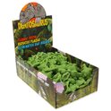 Espositore Dentosaurus con clorofilla 6,5 cm 56 pz