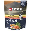 Bolsa Ontario salmón con verduras en caldo 300g