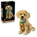LEGO® Icons 11384 Šteňa zlatého retrievera