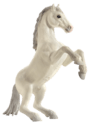 Mojo Animal Planet Kôň Mustang biely