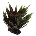 Decorazione Repti Planet Pianta grassa Agave verde 18cm