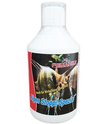 Femanga Algen Stopp Spezial na sinice 250 ml
