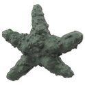 Spielzeug Dog Fantasy Sea NaturalToy Stern Gummi Grün 15cm