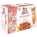 Kapsičky Brit Care Cat Flavour box filety v omáčke Multi 12x85g
