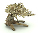Bonsai Driftwood 15 x 12 x 13 cm Nr.13