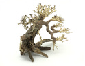 Bonsai Driftwood 25 x 20 x 23 cm Nr.82
