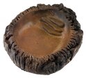 ATG терариумна купа TP-03W (14,5x11,5x4см)