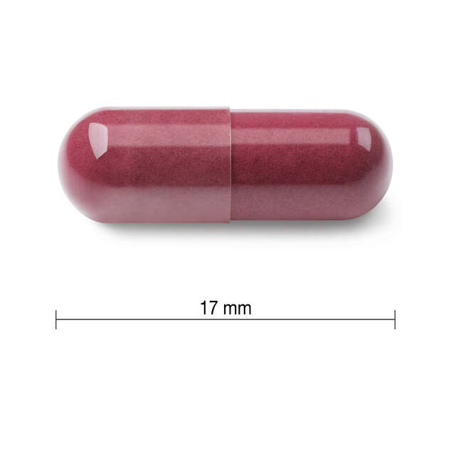 Jamieson Resveratrol 50 mg Rotweinextrakt 30 Tabletten