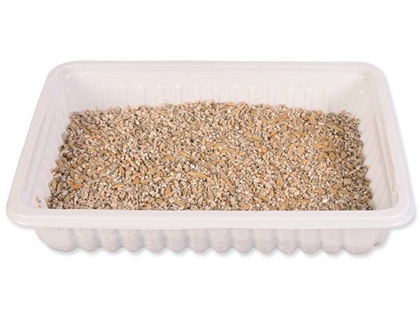 Tráva Trixie pre mačatá miska 100 g