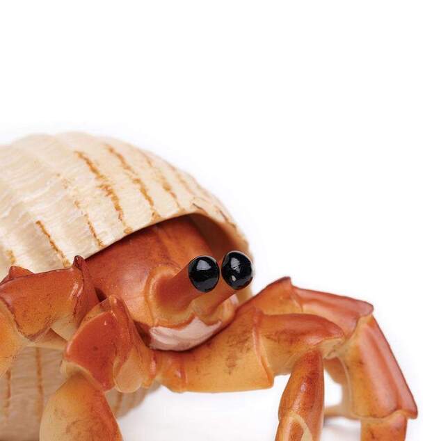 Safari® Krab pustovník