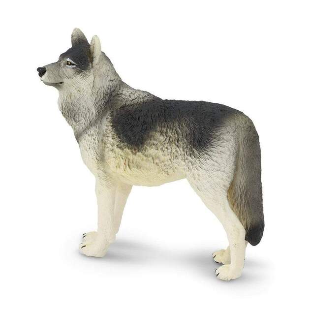 Safari® Vlk