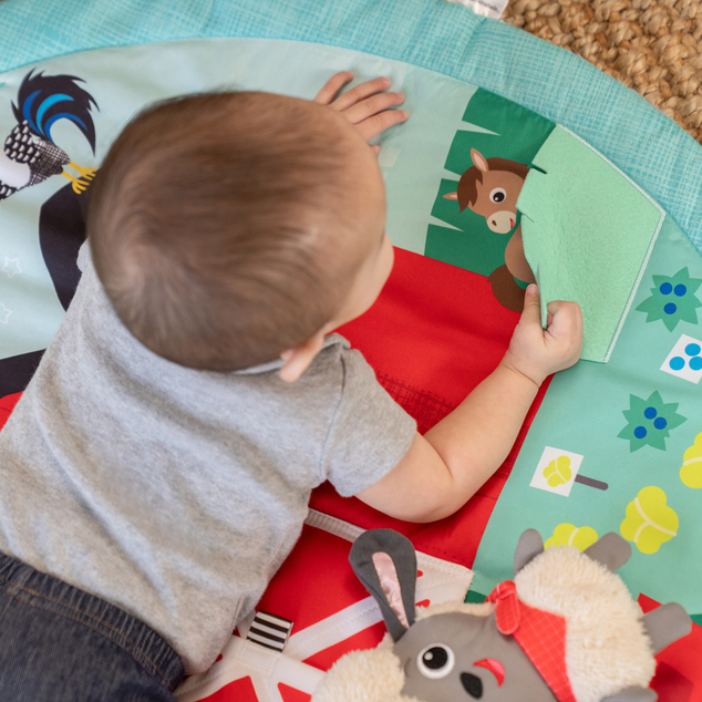 BABY EINSTEIN Tapis de jeu Happy Harvest™ Touch &amp; Feel, 0m