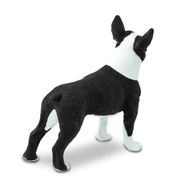 Safari® Boston terrier