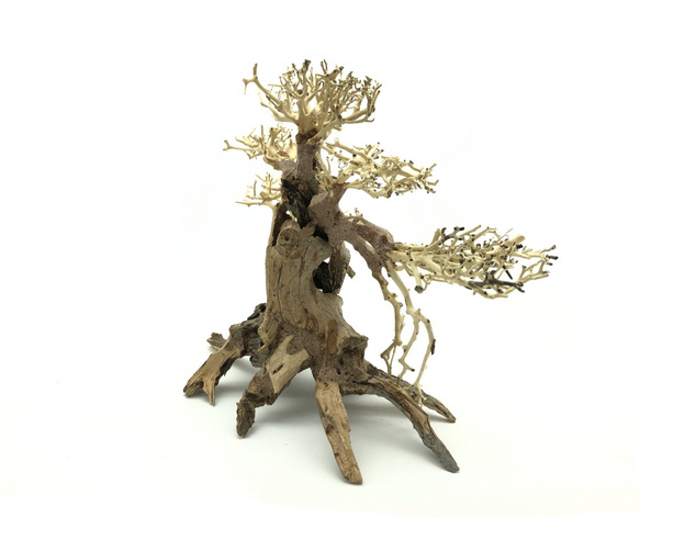 Bonsai Driftwood 40 x 30 x 33 cm No.100