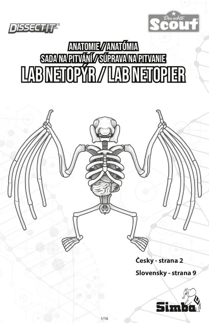 Objavuj Pitva Netopier