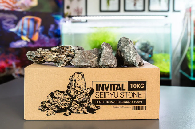 Seiryu stone MIX karton 10kg