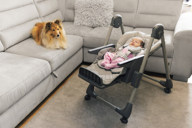 Chaise de salle à manger Monti 2, Diamond Beige