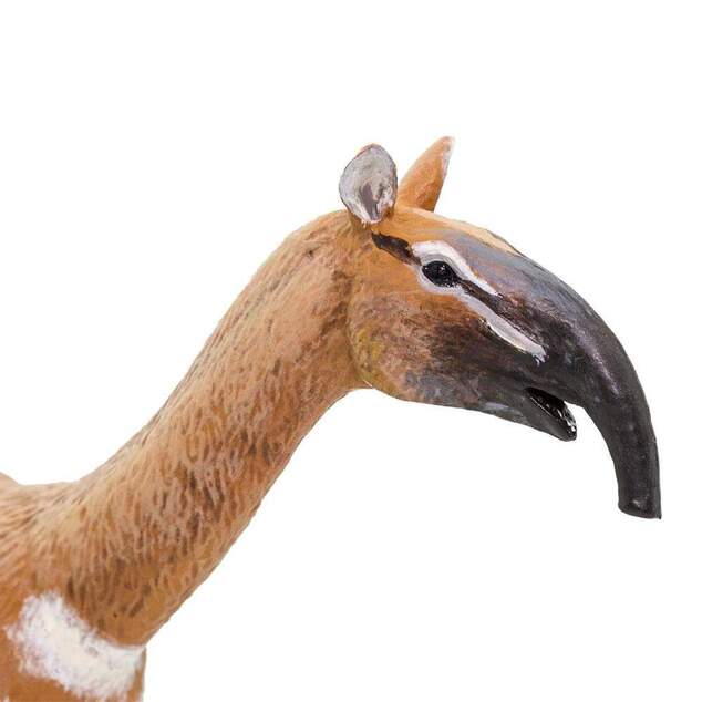 Safari® Macrauchenia