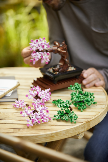LEGO® Botanicals 10281 Bonsai