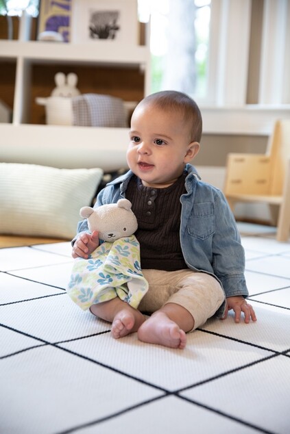 INGENUITY Kus maznania Cozy Lovey – Nate™ 0m+