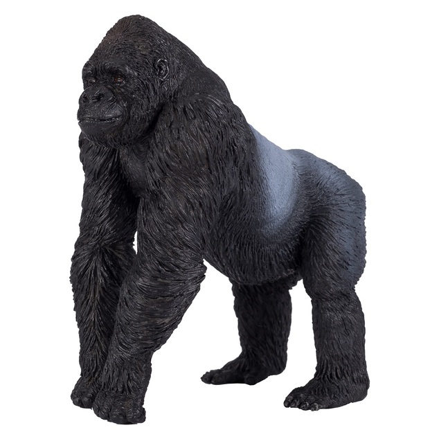 Gorilla maschio Mojo Silverback