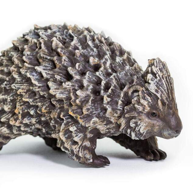 Safari® Equidna