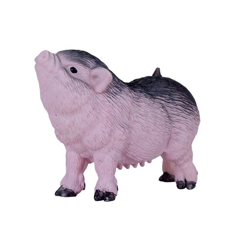 Moje prasátko je chlupaté.