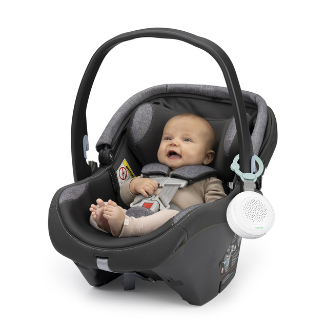 INGENUITY Predvajalnik glasbe Pock-a-Bye Baby™ 6m+
