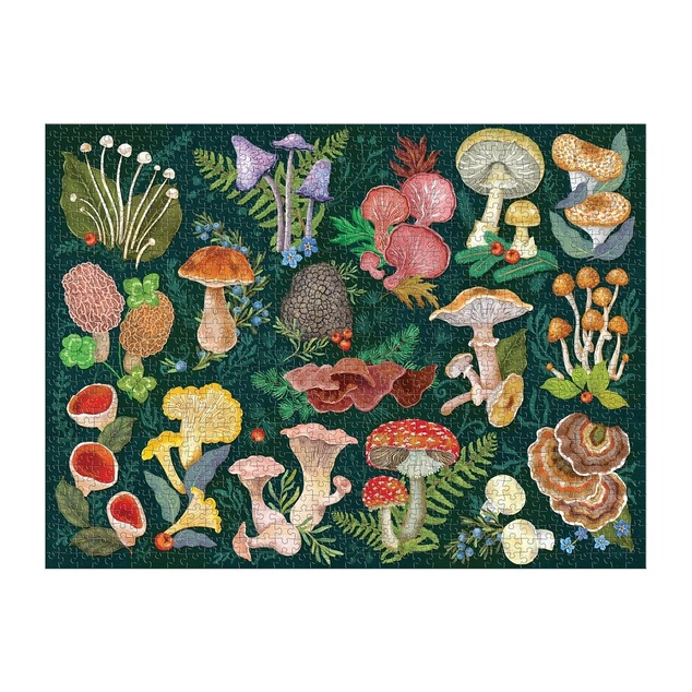 Puzzle Galison Lumea ciupercilor 1000 piese