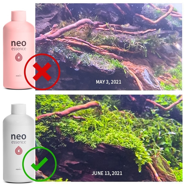 Neo Essence 300 ml
