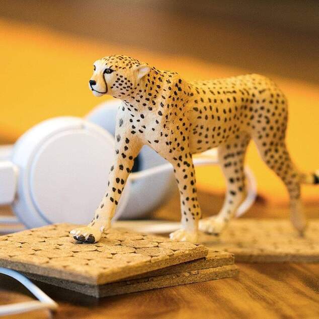 Safari® Gepard