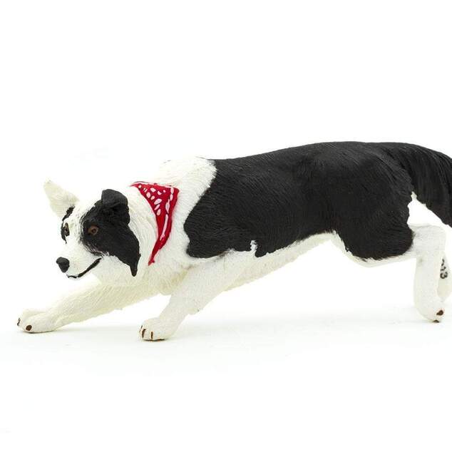 Safari® Border Collie