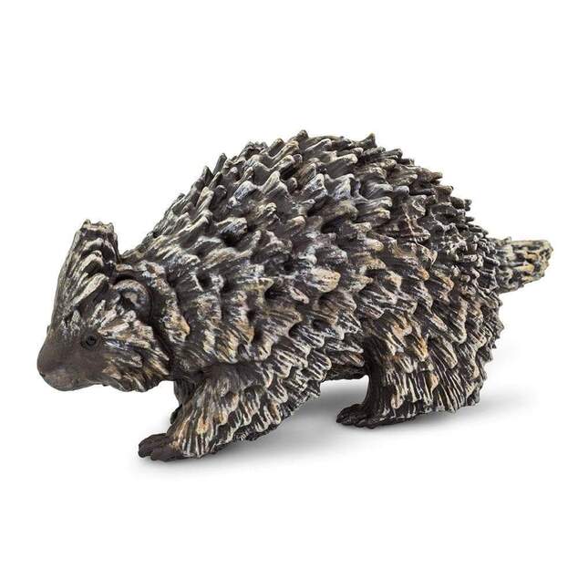 Safari® Equidna