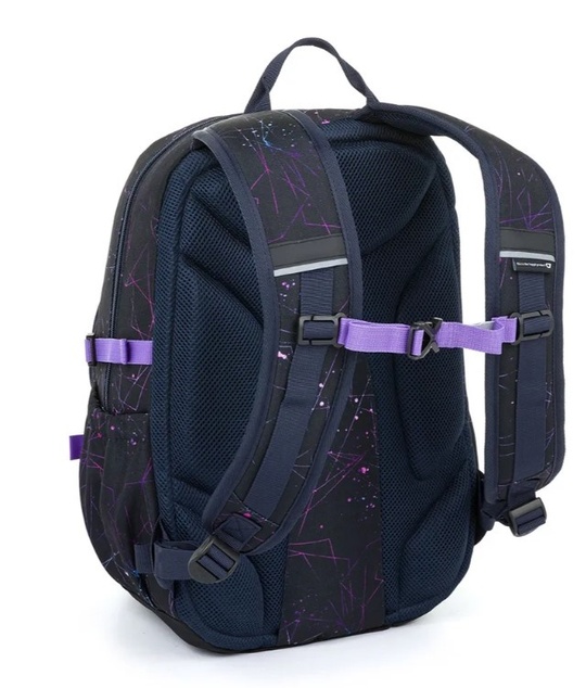 Študentský batoh s fialovými detailmi Topgal SKYE 24031
