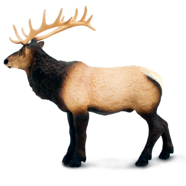 Safari® Jeľeň Wapit