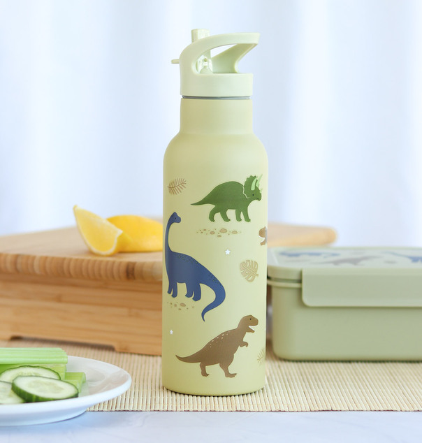 A Little Lovely Company - nerezová fľaša na pitie, 500 ml - dinosaury