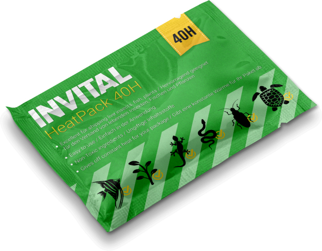 INVITAL HeatPack 40H