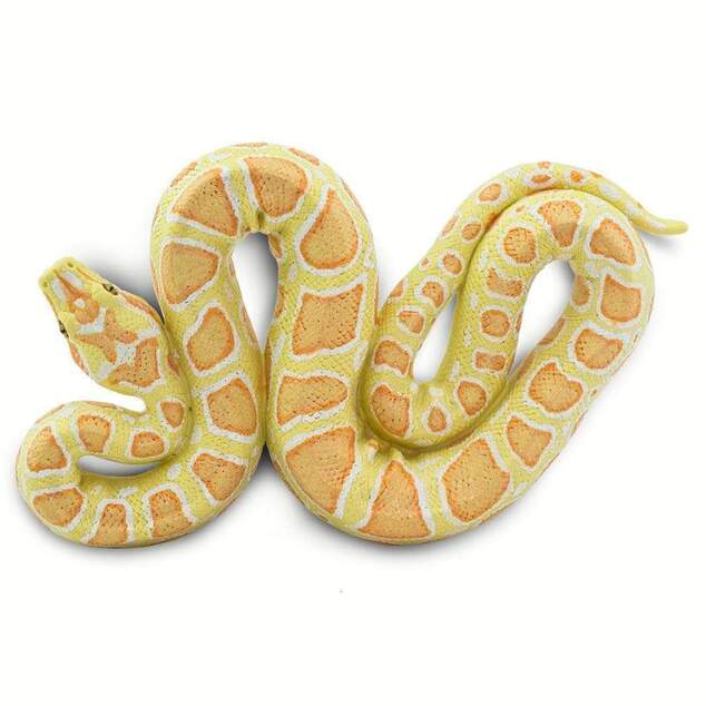 Safari® Бирмански питон