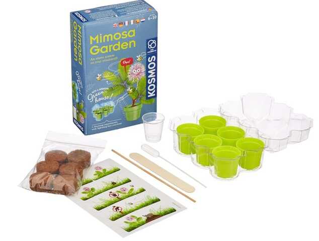 Mimosa - mini serra per bambini