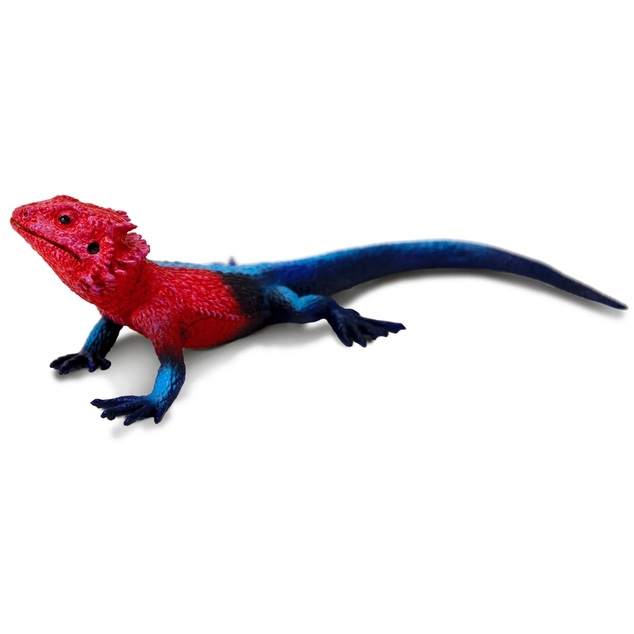 Safari® Agama mwanza