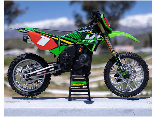 Losi Promoto-MX 1:4 RTR Pro Circuit