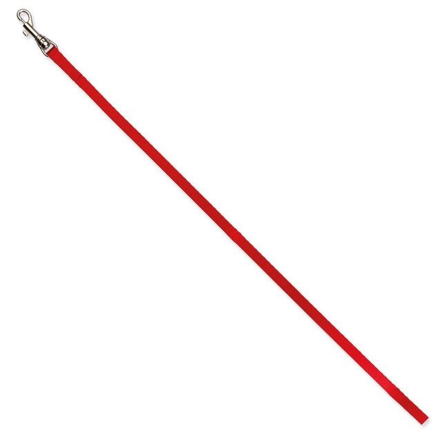 Set postroj a vodítko pre mačatá a malé mačky, nylon