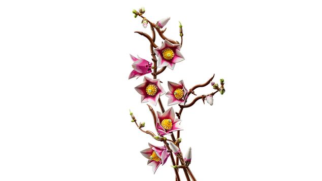 LEGO® Botanicals 11510 Vetvičky magnólie