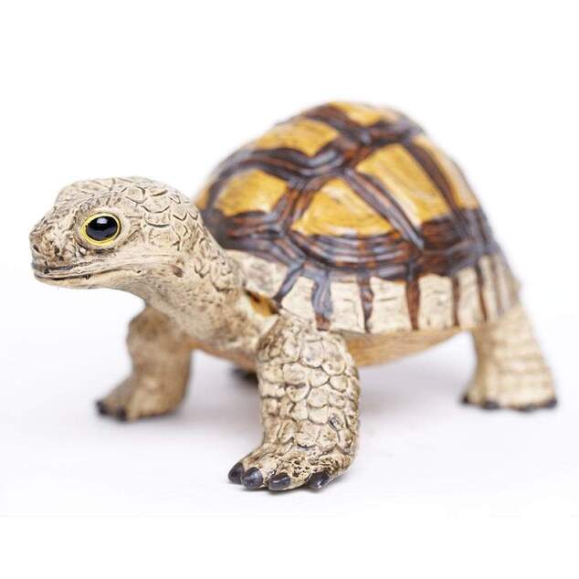 Safari® Suchozemská korytnačka